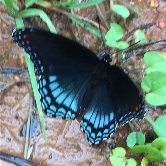 Meet your Posher, Karyn - Picture 1 of 1